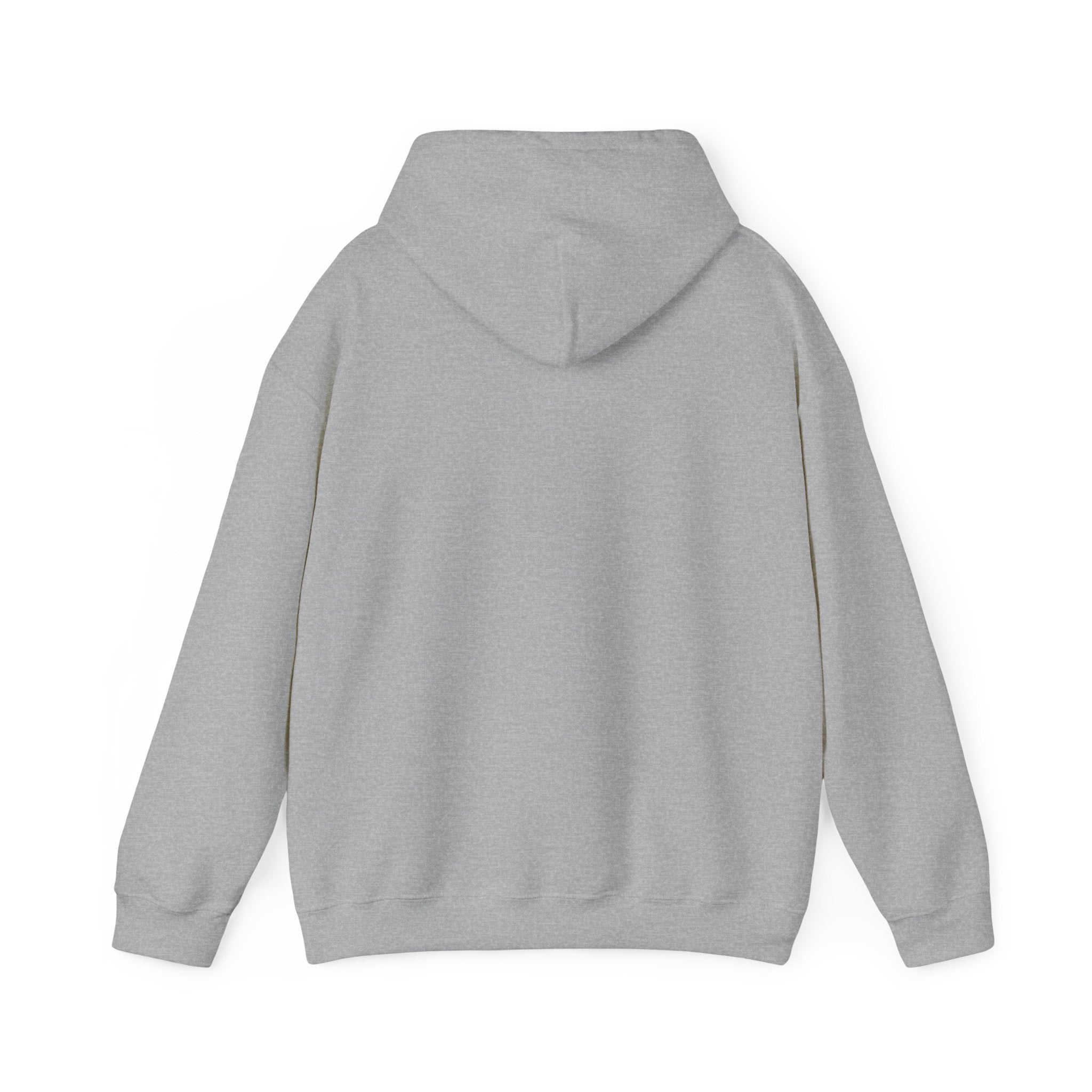 From Darkness to Light Unisex Heavy Blend™ Hooded Sweatshirt