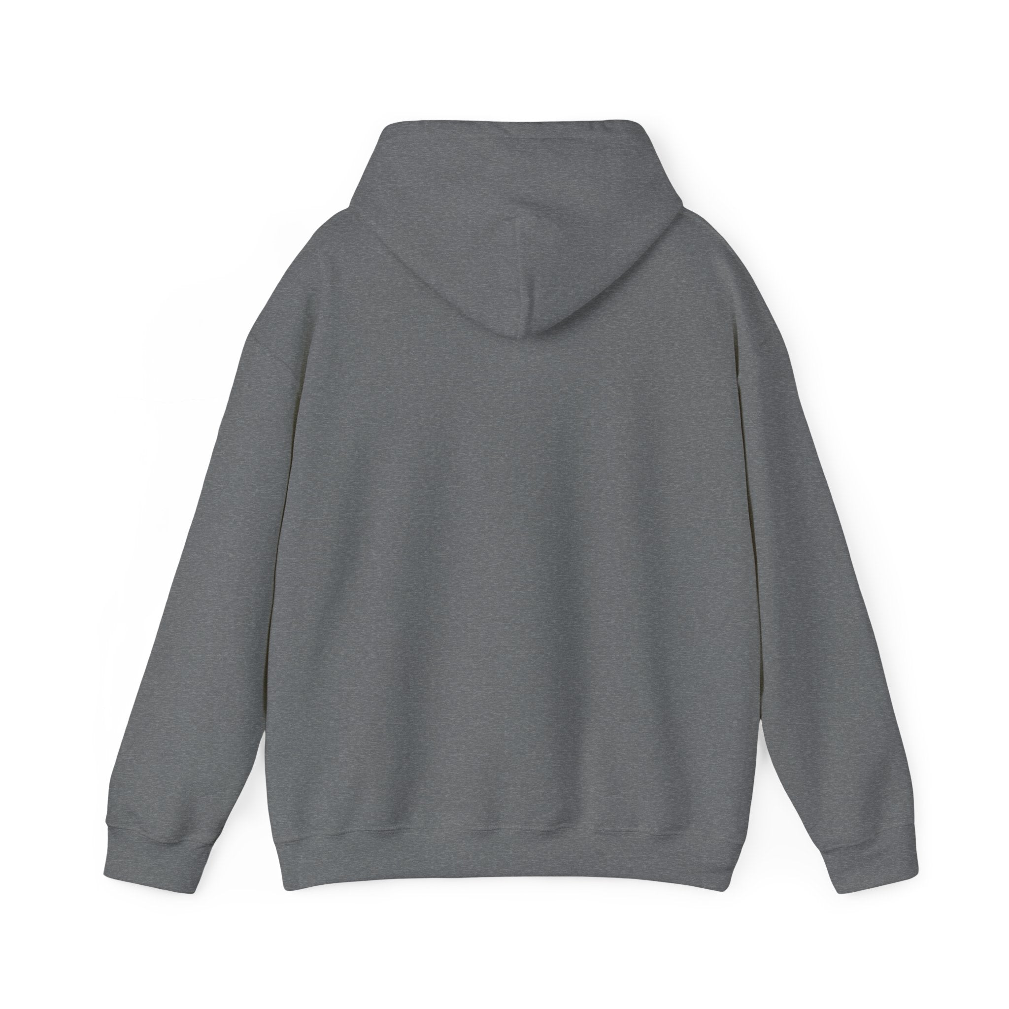 From Darkness to Light Unisex Heavy Blend™ Hooded Sweatshirt